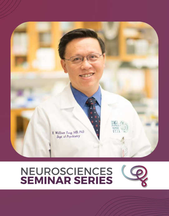 Headshot of Dr. William Yang framed with a purple border. A white banner at the bottom reads 'Neurosciences Seminar Series' next to the Wu Tsai Neuro logo.