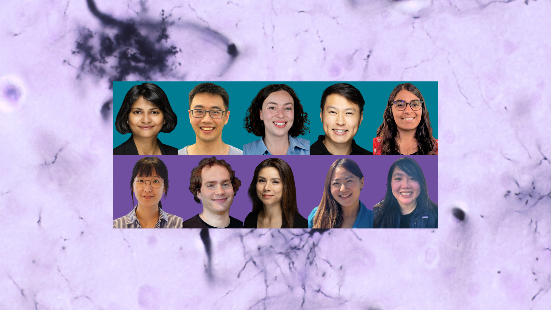 Background image - "Oligodendroglia stained with the Rio-Hortega variant to the Golgi u2019s silver chromate. From the rounded soma, several thin processes arise. The dark thick traces are blood capillaries. The 2026 Neuroscience Postdoctoral Scholars; Top row, Interdisciplinary scholars, from left: S Shailja, Eric Zhao, Chloe Jean Bair-Marshall, David Au, Shwetha Srinivasan. Bottom row, Brain Resilience Scholars, from left: Ja Eun Choi, Nimrod Rappoport, Heankel Lyons, Christine Ng, Emmy Li.