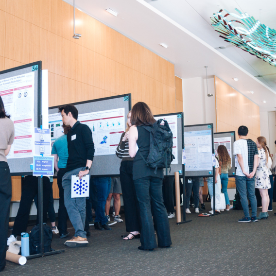 Stanford neuroscience researchers gather at the Knight Initiative's Year-End Symposium and Research Showcase at the poster session contest.  