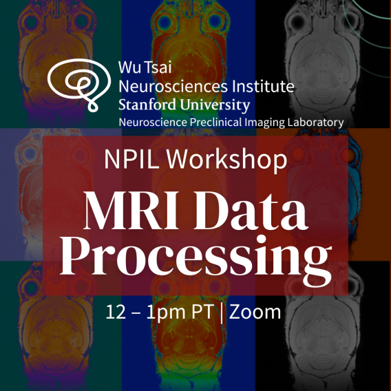 Wu Tsai Neurosciences Institute, Stanford University, Neuroscience Preclinical Imaging Laboratory, NPIL Workshop, MRI Data Processing, 12–1pm PT, Zoom