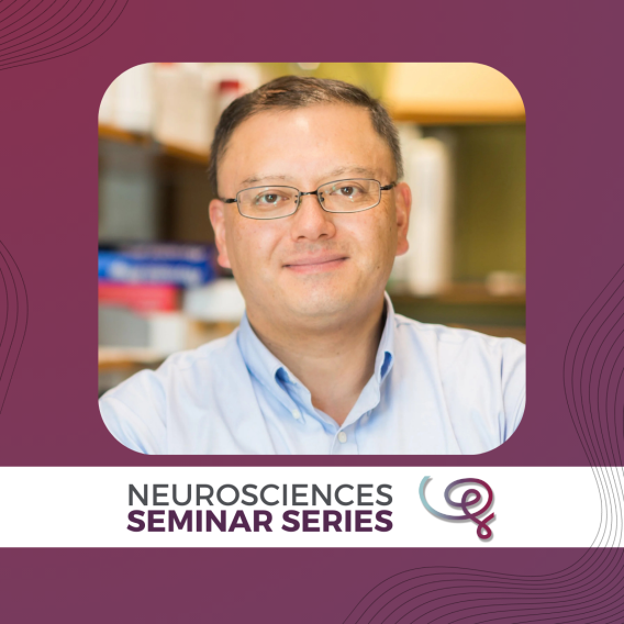 Headshot of Dr. Takao Hensch framed with a purple border. A white banner at the bottom reads 'Neurosciences Seminar Series' next to the Wu Tsai Neuro logo.