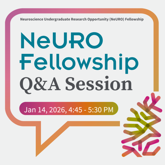 Graphic announcing the NeURO Fellowship Q&A Session. Large text reads “NeURO Fellowship Q&A Session.” A colorful speech-bubble frame surrounds the text. A magenta-to-gold bar lists the date and time: Jan 14, 2026, 4:45–5:30 PM. Decorative multicolor neuron-like shapes appear on the right.