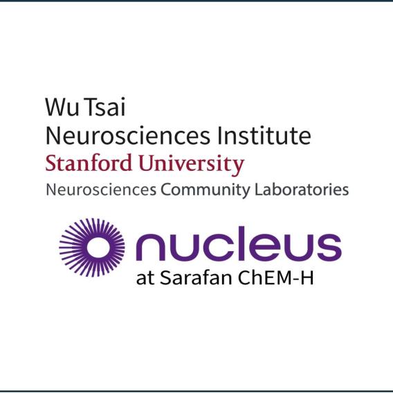 Wu Tsai Neurosciences Institute, Stanford University, Neurosciences Community Labs. Nucleus at Sarafan ChEM-H.