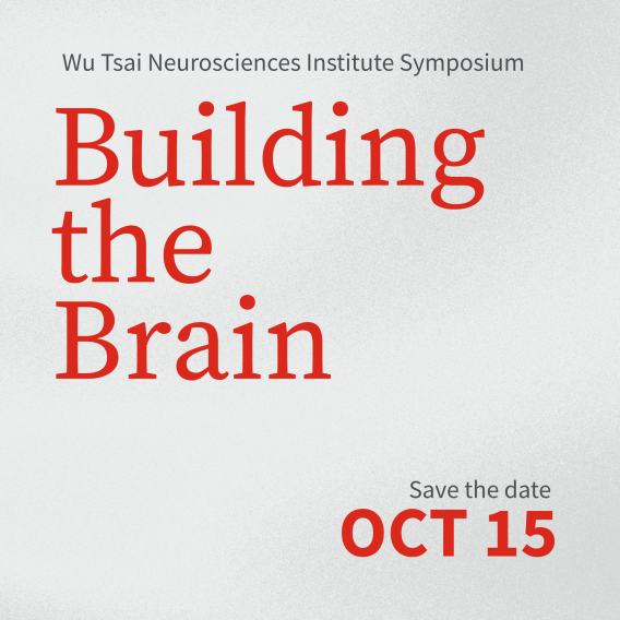 A graphic with a grey background has cherry-red text that reads "Building the Brain". In smaller text above the title is "Wu Tsai Neurosciences Institute Symposium", and in the bottom right corner reads "Save the Date: Oct 15"