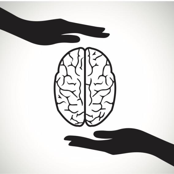 brain between hands