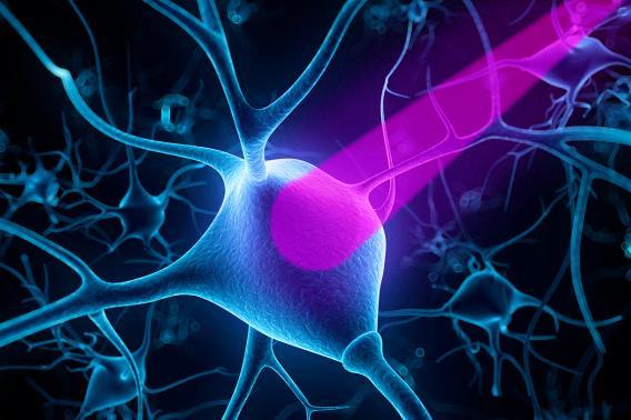 optogenetics nerve cells