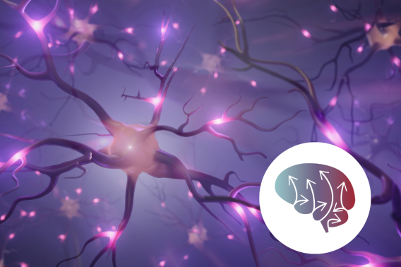 Image of neurons with the Pathways to Neurosciences logo