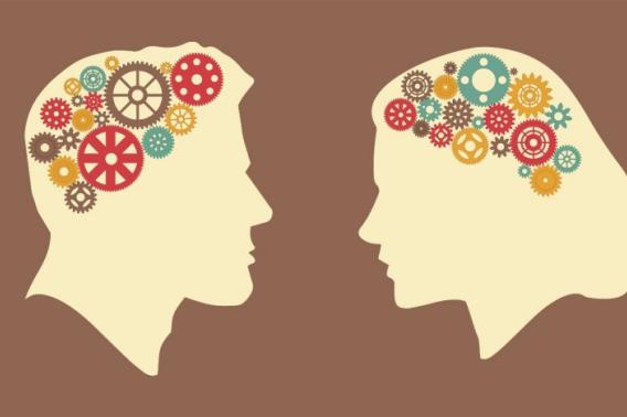 Graphic of a man and a woman with machinery in their heads to represent brain function