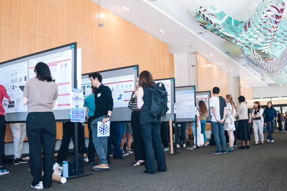 Stanford neuroscience researchers gather at the Knight Initiative's Year-End Symposium and Research Showcase at the poster session contest.  