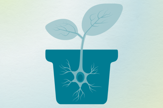 A graphic logo depicting a teal plant pot containing a neuron-shaped structure with branching dendrites at the base. The neuron seamlessly transitions into a plant stem, growing two translucent leaves with visible veins, symbolizing growth and innovation.
