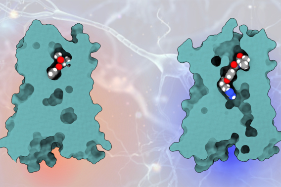 Compound to relieve pain 