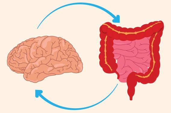 Gut-brain connections
