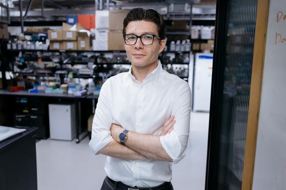 Stanford professor Sergiu Pasca in the lab