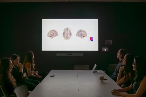 Laura Gwilliams, Jill Kries, and other members of the Gwilliams lab sit around a table discussing research presentation.