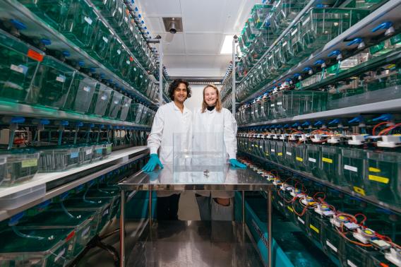 Ravi Nath and Claire Bedbrook stand in an aisle of shelves filled with fish tanks.