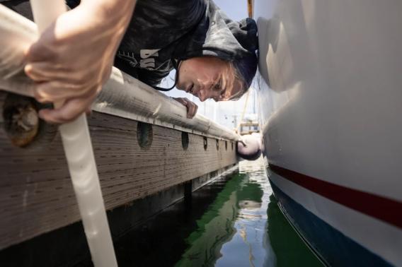 A person in a wet suit peers over the side of a dingy.