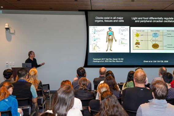 Joseph Takahashi of University of Texas Southwestern Medical Center gave a talk on, “Circadian clock regulation of healthspan and lifespan” in the recent Aging Research seminar jointly hosted by the Knight Initiative and the Glenn Center for Biology of Aging Research.