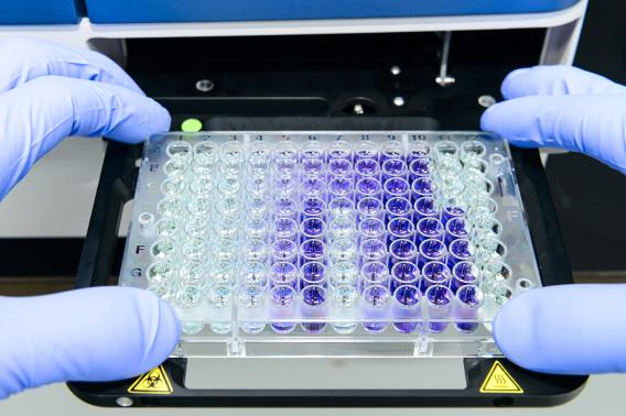 Gloved hands hold a tray of chemical mixtures.