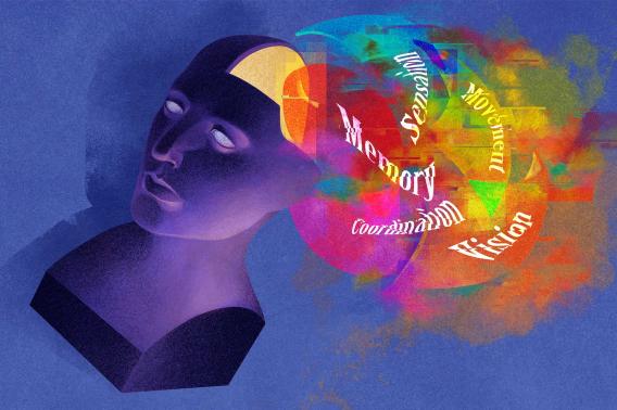 brain-categories complex and context-dependent