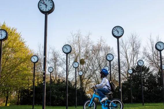 clocks/circadian rhythm