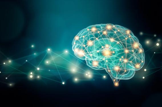 Fast Light and Calcium-Regulated Expression