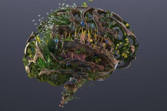 Mother nature drops human babies in the world as “un-programmed”