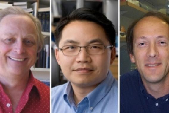 Peter Sarnow, Howard Chang and Richard Lewis