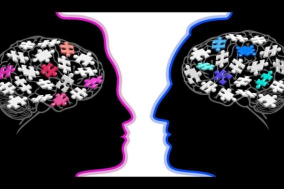 male mice mind hard-wired