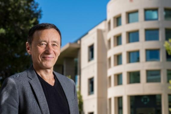 Ivan Soltesz marijuana-like compound in the brain