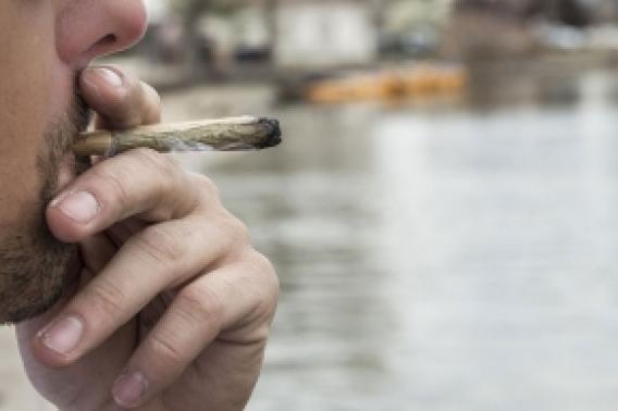  positive association between marijuana use and sexual intercourse