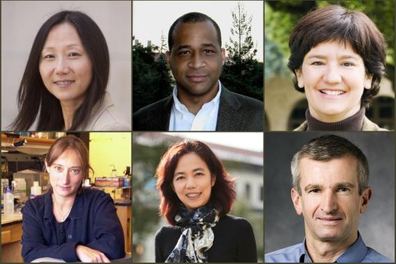 Wu Tsai Neuro Faculty Elected to National Academy of Science, American Academy of Arts and Sciences