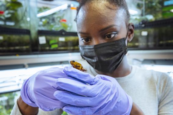 Fellow Moremi Mabogunje