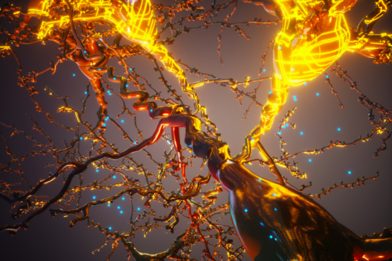  biocompatible polymers (shown in gold)