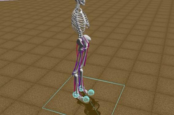 virtual skeleton learned to walk from scratch