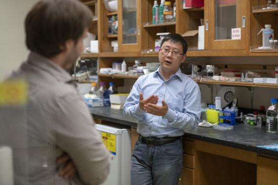 xiaoke chen paraventricular thalamus