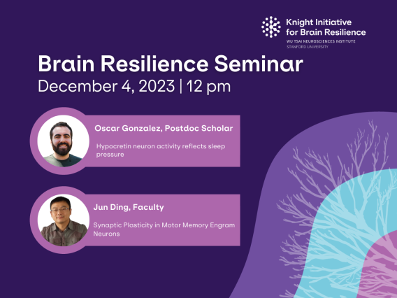 Brain Resilience Seminar Dec 4 2023 at 12pm PST