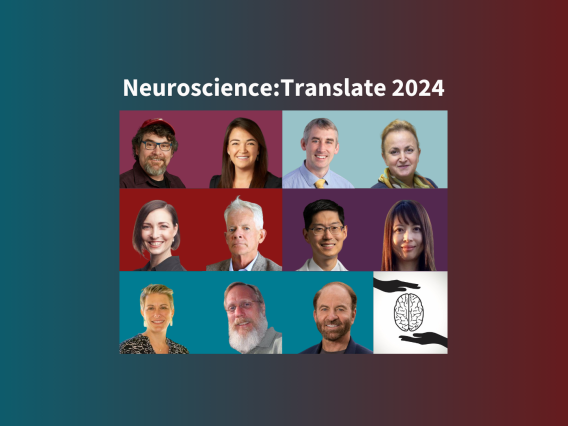 Neuroscience:Translate 2024 awardees; Top row from right Anthony J Ricci, Kristen K Steenerson, Paul George, Daria Mochly-Rosen. Middle row from right Michelle L James, Hannes Vogel, Michael Lim, Xinnan Wang. Bottom row from right Sarah C Heilshorn, Theo Palmer, Gary K Steinberg, Neuroscience:Translate logo.