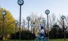 Clocks on post in park