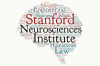 Stanford Neurosciences Institute