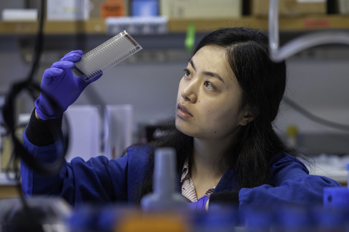 Wu Tsai Neurosciences Institute Interdisciplinary Scholar Shixuan Liu in the laboratory